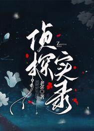 侦探实录侦探实录